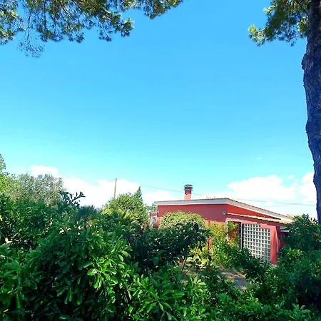 Little Red House *