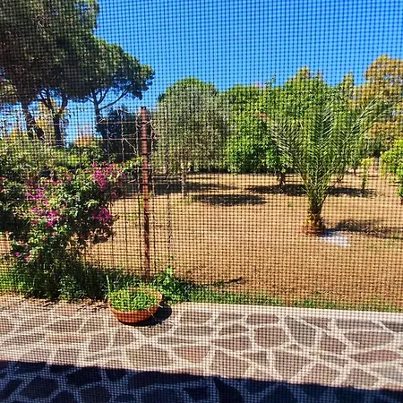 Little Red House Holiday home Tarquinia