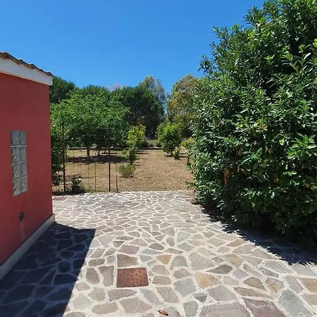 Little Red House